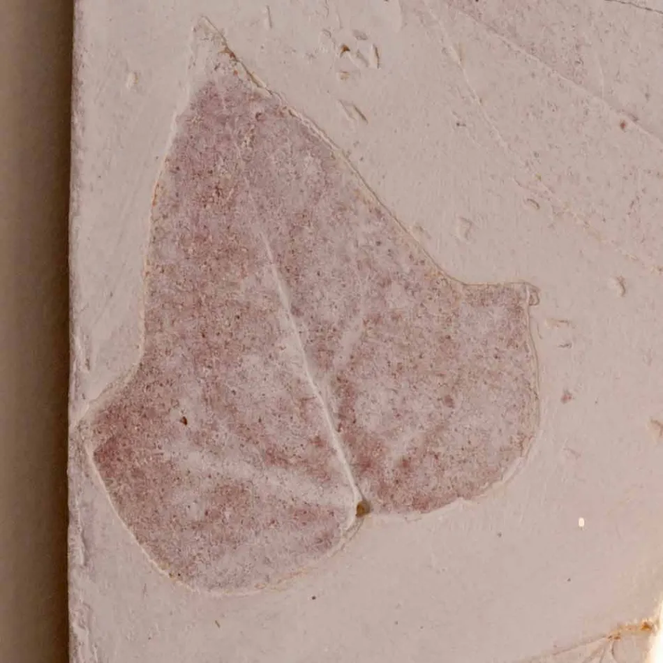 Lámpara de pared de terracota Toscot Vivaldi hecha en Italia Viadurini