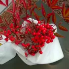 Jarrón de diseño decorativo en mármol Bardiglio o Carrara Made in Italy - Prisma Viadurini