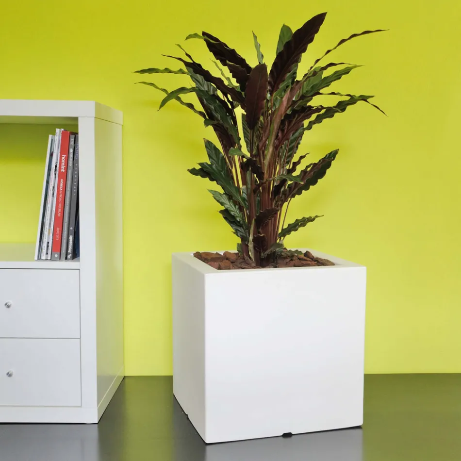 Maceta o Biombo Cuadrado Tres Colores Made in Italy - Plants Viadurini