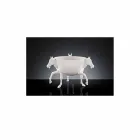 Jarrón ornamental de interior en cerámica blanca u oro de 24 k Made in Italy - Jacky Viadurini