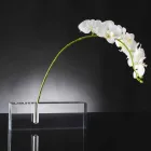 Florero moderno de plexiglás transparente hecho en Italia - Único Viadurini