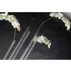 Jarrón de interior de plexiglás transparente Made in Italy - Fortunato Viadurini